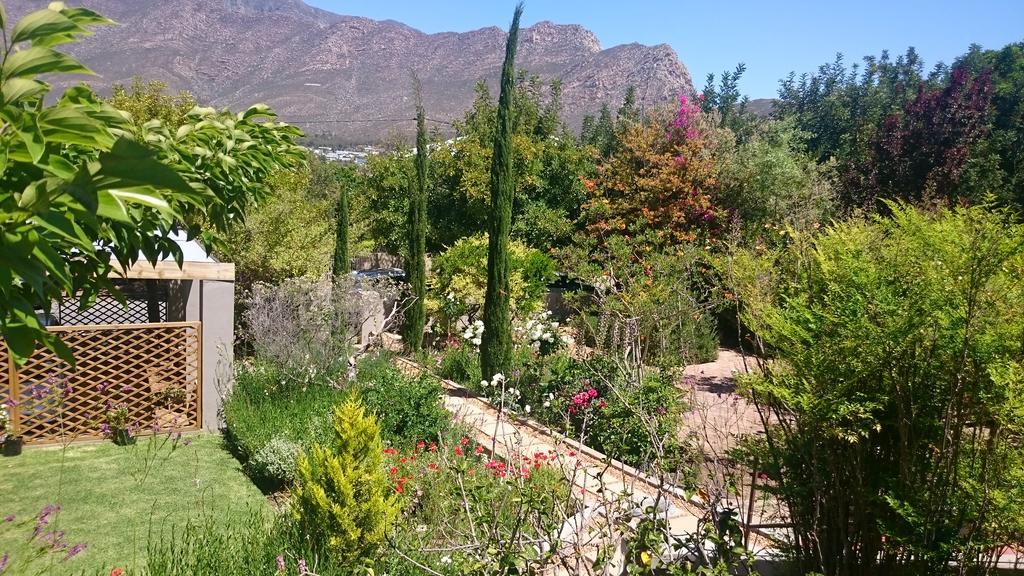 מונטאגו Abigail'S Garden Cottage מראה חיצוני תמונה
